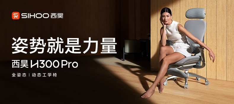 H300 PRO 全姿態動態支撐