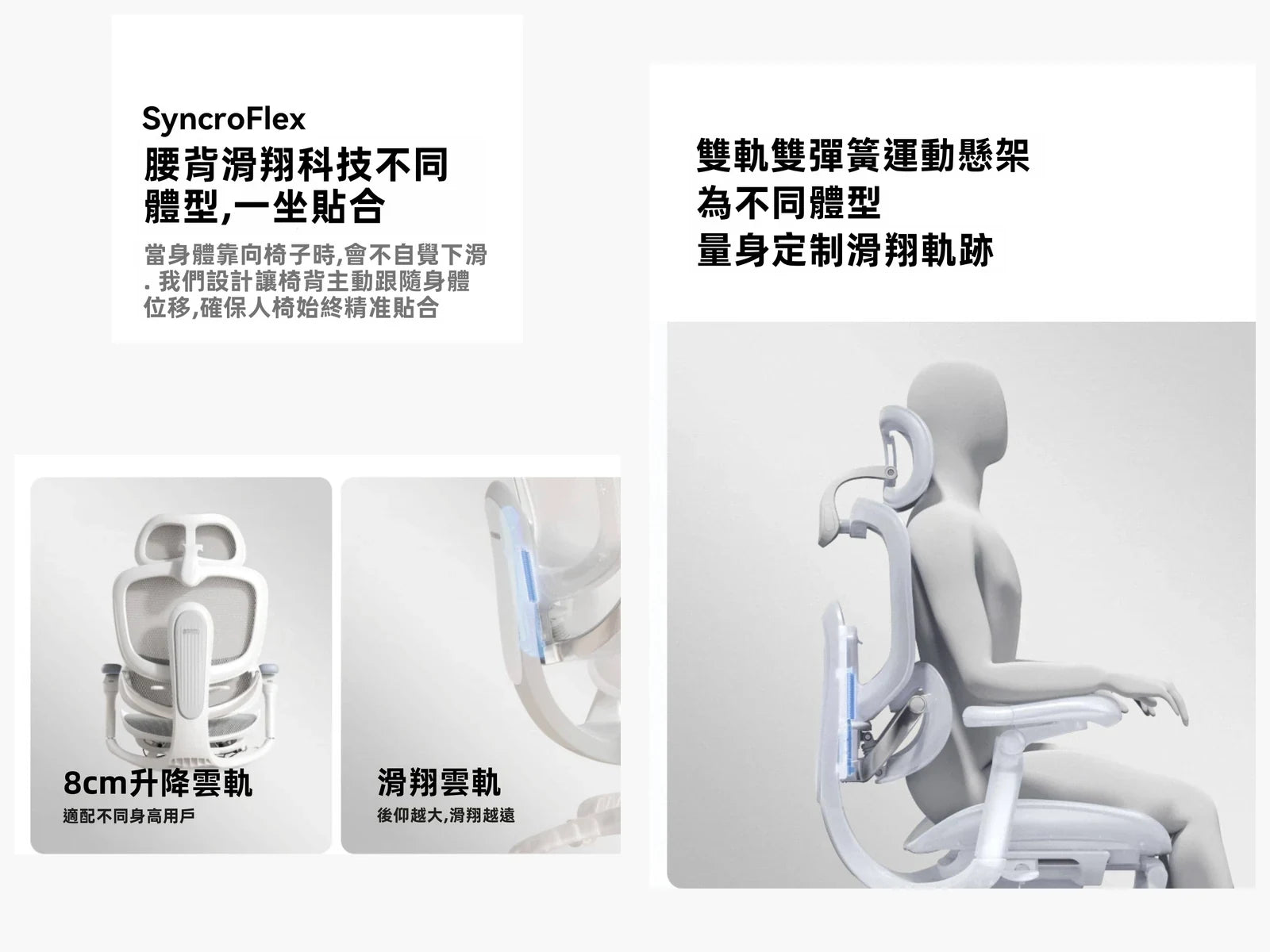 C300 二代 Lite SyncroFlex 腰背滑翔系統
