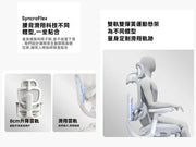 C300 二代 Lite SyncroFlex 腰背滑翔系統